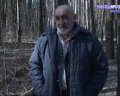 Он не представляет ценности, но из-за него можно лишиться свободы: как правильно собирать валежник Он не представляет ценности, но из-за него можно лишиться свободы: как правильно собирать валежник