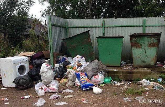 «Общероссийский народный фронт» изучил орловские контейнерные площадки «Общероссийский народный фронт» изучил орловские контейнерные площадки