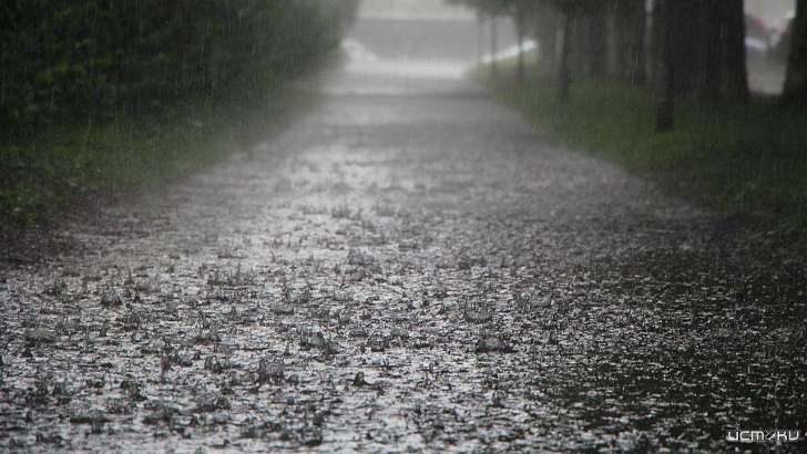 Из-за ливней в Орловской области объявлен желтый уровень погодной опасности Из-за ливней в Орловской области объявлен желтый уровень погодной опасности