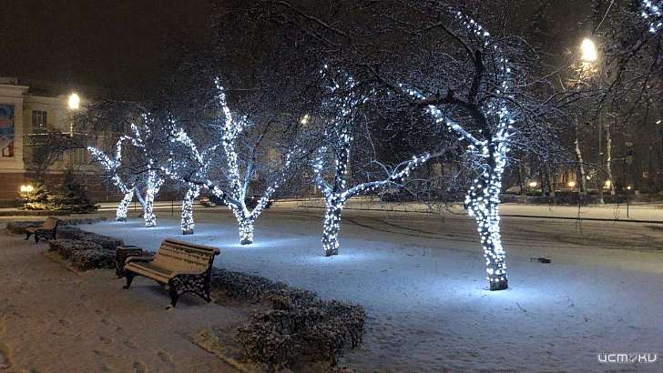 Мокрый снег и ветер: какая погода ждет орловчан в новогоднюю ночь Мокрый снег и ветер: какая погода ждет орловчан в новогоднюю ночь