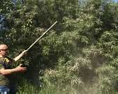 Жители Северного района Орла задыхаются от дыма, который исходит от асфальтового завода Жители Северного района Орла задыхаются от дыма, который исходит от асфальтового завода