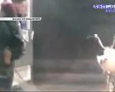 Облсовет поддержал поправки в Конституцию, а орловчанка насмешила соцсети, пригнав на автомойку велосипед Облсовет поддержал поправки в Конституцию, а орловчанка насмешила соцсети, пригнав на автомойку велосипед