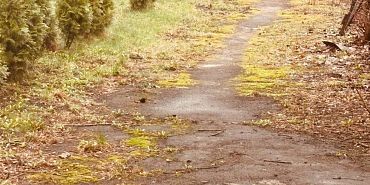 погода в орле арктический циклон в апреле "Скупой на тепло". Погода в апреле орловчан вряд ли порадует