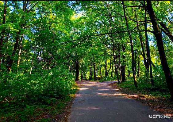 Парк ботаника в орле фото Орловцев пригласили на праздник в честь открытия парка "Ботаника": Яндекс.Новост