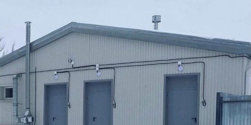 приют для животных прокуратура суд Прокуратура Орла контролирует исполнение решения суда по приюту для животных