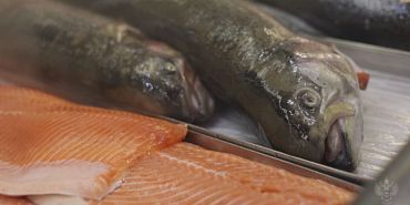 Рыба – один из самых полезных  продуктов питания Рыба – один из самых полезных  продуктов питания