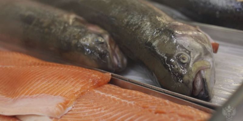 Рыба – один из самых полезных  продуктов питания Рыба – один из самых полезных  продуктов питания