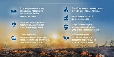 Управление МЧС по Орловской области пал травы Орловское МЧС предупреждает о последствиях поджигания травы