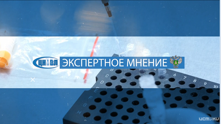 Сегодня на телеканале "Истоки" после выпуска новостей смотрите программу «Экспертное мнение» Сегодня на телеканале "Истоки" после выпуска новостей смотрите программу «Экспертное мнение»
