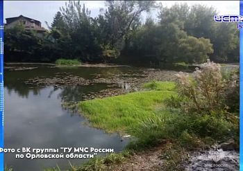 В дорожном инциденте с кабаном пострадал 31-летний водитель «Лады» В дорожном инциденте с кабаном пострадал 31-летний водитель «Лады»