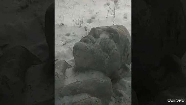 Пользователи соцсетей поддержали автора нашумевшего видеоролика о снесенном памятнике на Орловщине Пользователи соцсетей поддержали автора нашумевшего видеоролика о снесенном памятнике на Орловщине