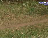 Сегодня завершилось первенство по легкоатлетическому кроссу. Сегодня завершилось первенство по легкоатлетическому кроссу.