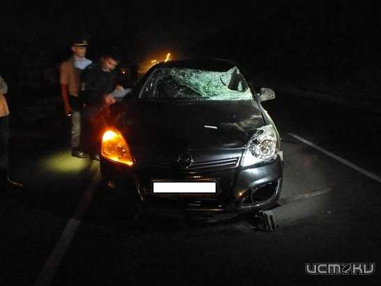 На трассе Орловщины иномарка насмерть сбила 48-летнего мужчину На трассе Орловщины иномарка насмерть сбила 48-летнего мужчину