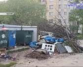 Куда ушли мусорные миллиарды?1717519700 Куда ушли мусорные миллиарды?1717519700