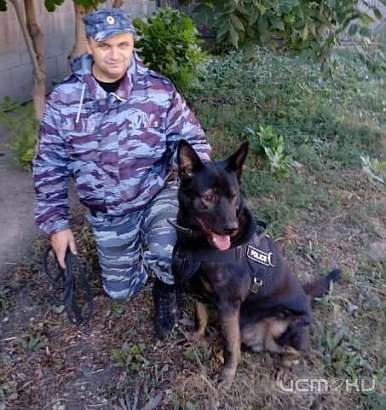 В Ливенском районе пес Барон раскрыл кражу почти 200 кг зерна В Ливенском районе пес Барон раскрыл кражу почти 200 кг зерна