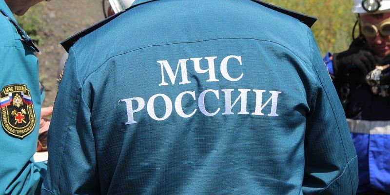 МЧС по Орловской области В Орле на территории детского сада уничтожили осиное гнездо