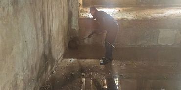 В Орле дворняжка провалилась в цокольный этаж ремонтируемого здания В Орле дворняжка провалилась в цокольный этаж ремонтируемого здания