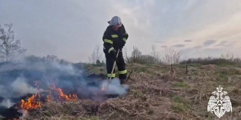 мчс пожар возгорание сухой травы Орловские пожарные предупреждают: палы травы — это опасно и наказуемо!