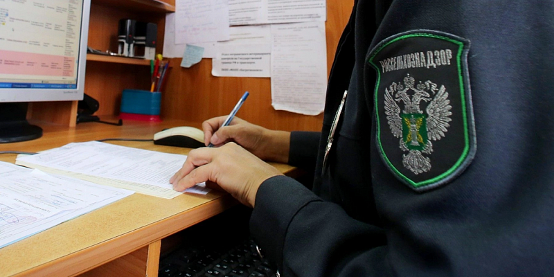 Россельхознадзор Общепит  В Орловской области выявили многочисленные нарушения в сфере общепита