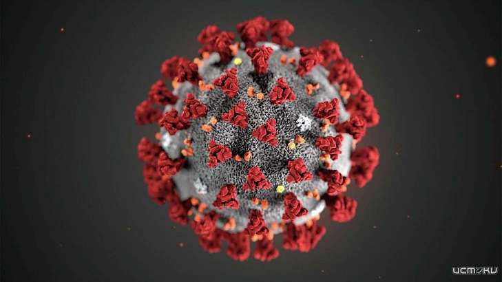 За последние сутки в России выявлен 8 817 случаев коронавируса За последние сутки в России выявлен 8 817 случаев коронавируса