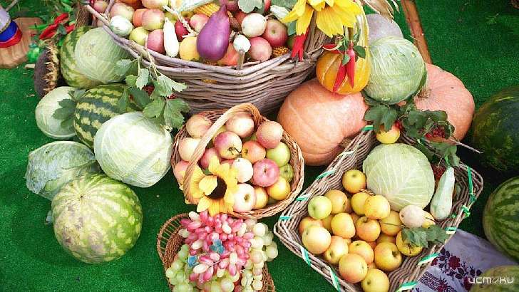 Переносить нельзя: Вдовин возмущен экспериментами над ярмарками в Орле Переносить нельзя: Вдовин возмущен экспериментами над ярмарками в Орле