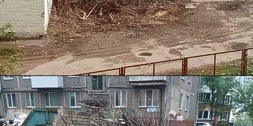 свалка Жалобы  Город утопает в кучах невывезенных веток!