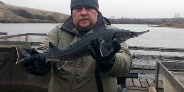 Аквакультура  Рыбоводное хозяйство  Орловские рыбоводы демонстрируют рост производства товарной аквакультуры