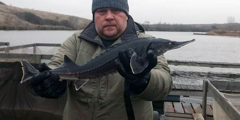 Аквакультура  Рыбоводное хозяйство  Орловские рыбоводы демонстрируют рост производства товарной аквакультуры