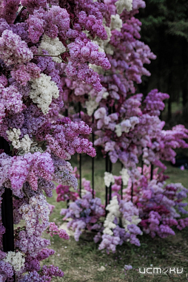 Орловчан приглашают посетить Фестиваль цветущей сирени – 2024 (0+) Орловчан приглашают посетить Фестиваль цветущей сирени – 2024 (0+)