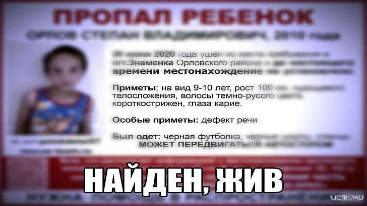 Братья-беглецы найдены в лесу: как под Орлом искали пропавших детей  Братья-беглецы найдены в лесу: как под Орлом искали пропавших детей