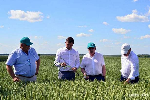 Все флаги будут в гости к нам  Все флаги будут в гости к нам