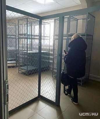 "Ощущения после посещение странные.." Орловская зоозащитница съездила в приют за 40 млн. руб, который должны были недавно открыть. "Ощущения после посещение странные.." Орловская зоозащитница съездила в приют за 40 млн. руб, который должны были недавно открыть.
