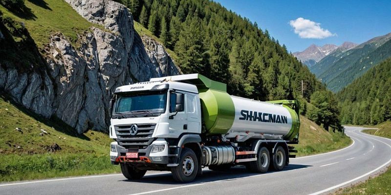 грузовые машины  автомобиль ремонт автомобиля Запасные части для Shacman: где и как приобрести качественные комплектующие