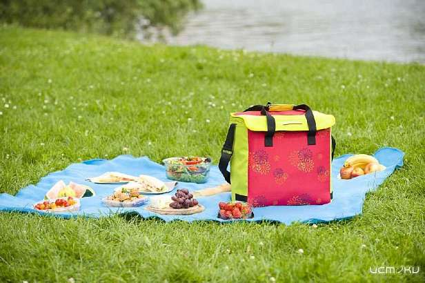 Заснувшая на пикнике орловчанка лишилась двух мобильников и сумочки  Заснувшая на пикнике орловчанка лишилась двух мобильников и сумочки