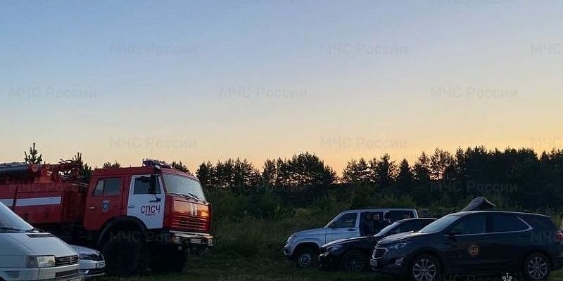 розыск Орловские спасатели рассказали о поисках пятилетней малышки