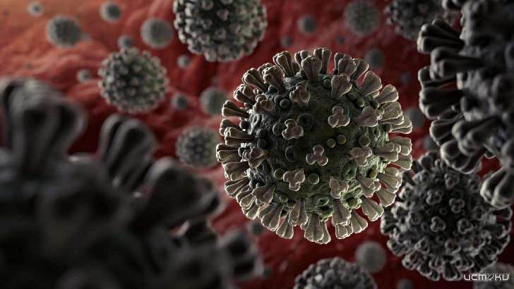 Почти у 1000 орловчан выработался иммунитет к коронавирусу Почти у 1000 орловчан выработался иммунитет к коронавирусу