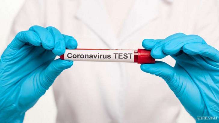 Новые данные: еще у 135 орловчан нашли коронавирус Новые данные: еще у 135 орловчан нашли коронавирус