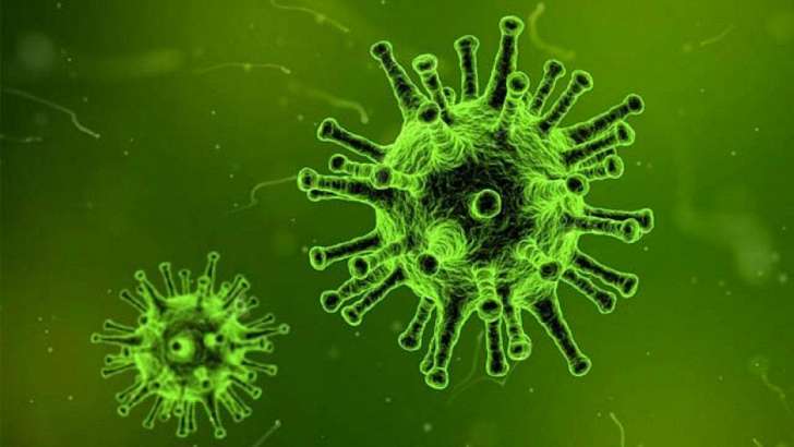 За последние сутки на Орловщине коронавирус выявлен у 175 человек За последние сутки на Орловщине коронавирус выявлен у 175 человек