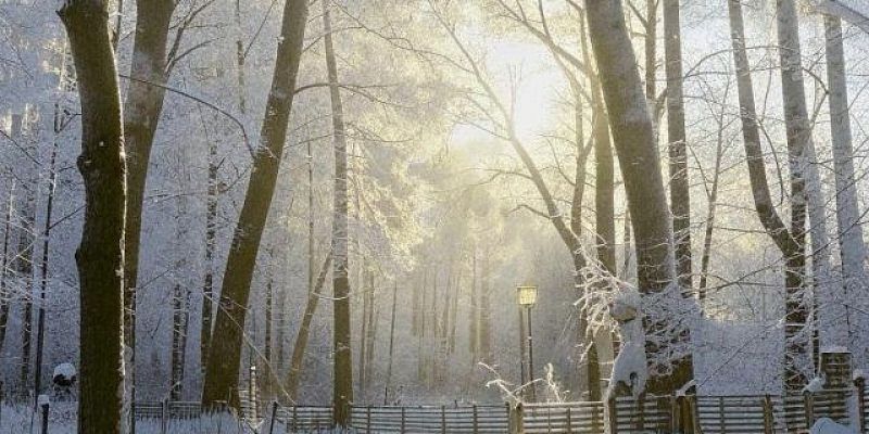 погода Погода на выходных в Орловской области будет переменчивой