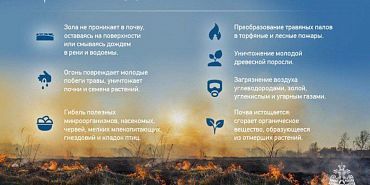 мчс Горение сухой травы  Орловские спасатели предупреждают об опасности пала сухой травы
