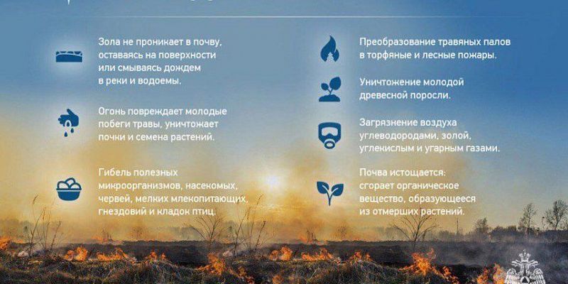 мчс Горение сухой травы  Орловские спасатели предупреждают об опасности пала сухой травы
