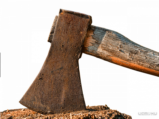 В Орле будут судить юношу, зарубившего мать и бабушку В Орле будут судить юношу, зарубившего мать и бабушку