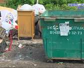 В «Зелёной роще» заявили о стабилизации ситуации с вывозом мусора В «Зелёной роще» заявили о стабилизации ситуации с вывозом мусора
