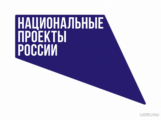 Орловские аудиторы нашли нарушения в закупках по нацпроектам Орловские аудиторы нашли нарушения в закупках по нацпроектам