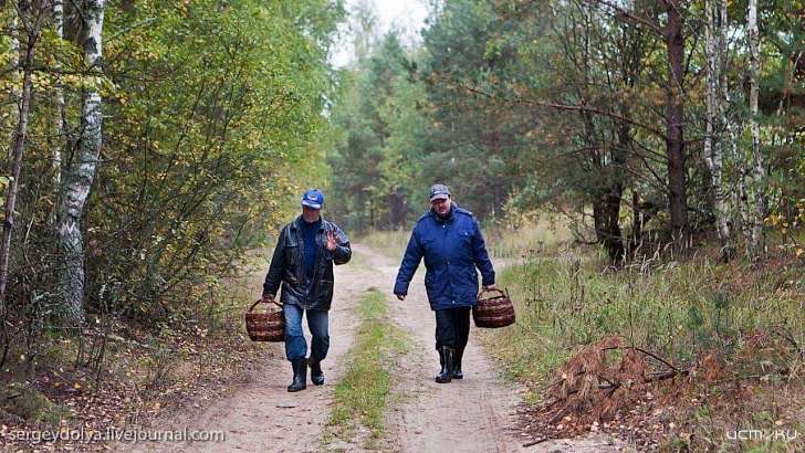 Орловские спасатели советуют грибникам ярко одеваться и ходить по трое Орловские спасатели советуют грибникам ярко одеваться и ходить по трое