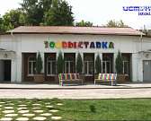 Попали в книгу рекордов Гиннесса благодаря размерам. Зоовыставка в Детском парке показала новых питомцев - двух карликовых обезьян-игрунок. Придумать ... Попали в книгу рекордов Гиннесса благодаря размерам. Зоовыставка в Детском парке показала новых питомцев - двух карликовых обезьян-игрунок. Придумать ...