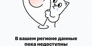 виртуальная школа госуслуги. моя школа пилотный субъект Орловских родителей просят заводить электронные дневники детей на Госуслугах