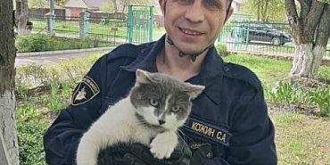 Спасение кота  МЧС по Орловской области В орловской аптеке любопытный кот застрял под холодильником