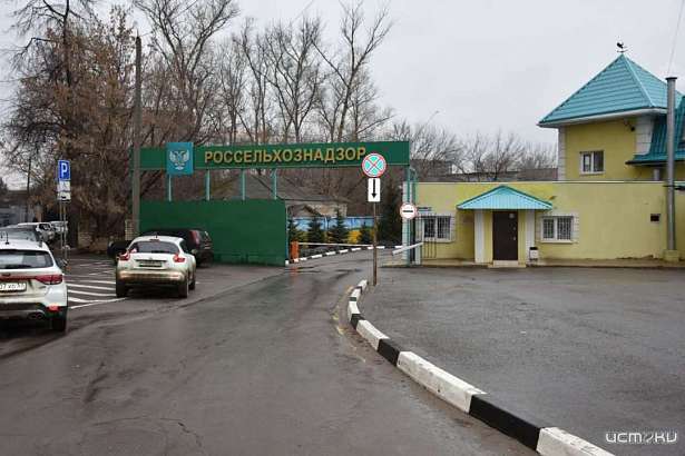 7 тысяч хвойных саженцев, поступивших в Орловскую область без документов, вернулись обратно в Польшу 7 тысяч хвойных саженцев, поступивших в Орловскую область без документов, вернулись обратно в Польшу