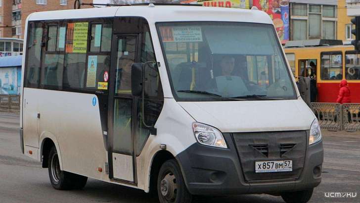 В Орле «нуждающийся» водитель потребовал у ребенка 30 рублей за проезд  В Орле «нуждающийся» водитель потребовал у ребенка 30 рублей за проезд